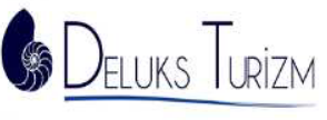 Delüks Turizm